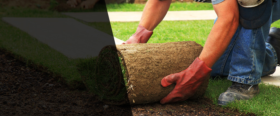 Interlochen Landscapers